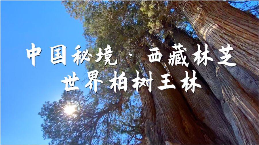 牛角勇士2