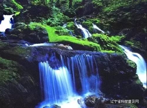 “陇东粮仓”展现新作为
