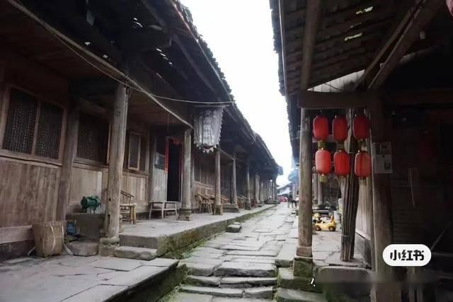 盐和避难所